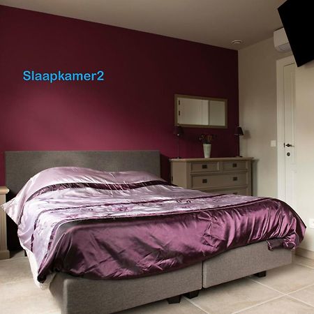 Apartament Studiobeerse Met Sauna Zwembad En Spa Zewnętrze zdjęcie